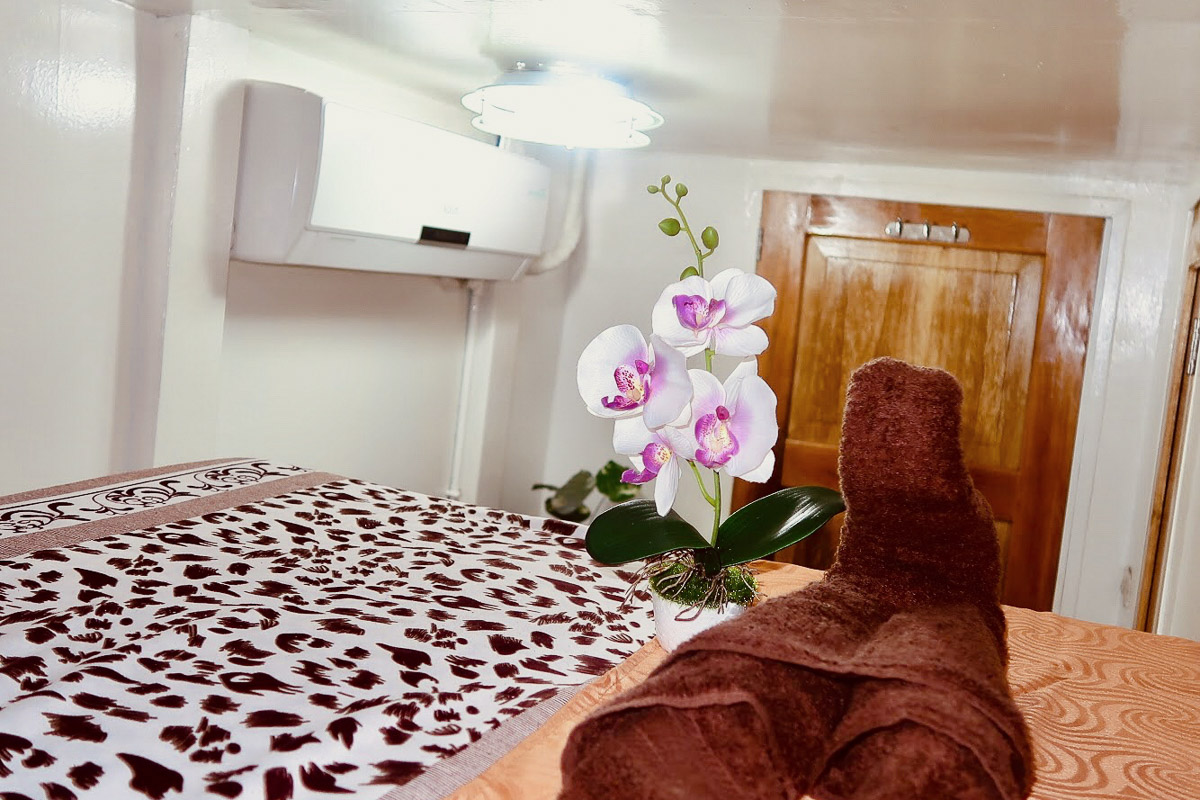 Azalea Liveaboard 15