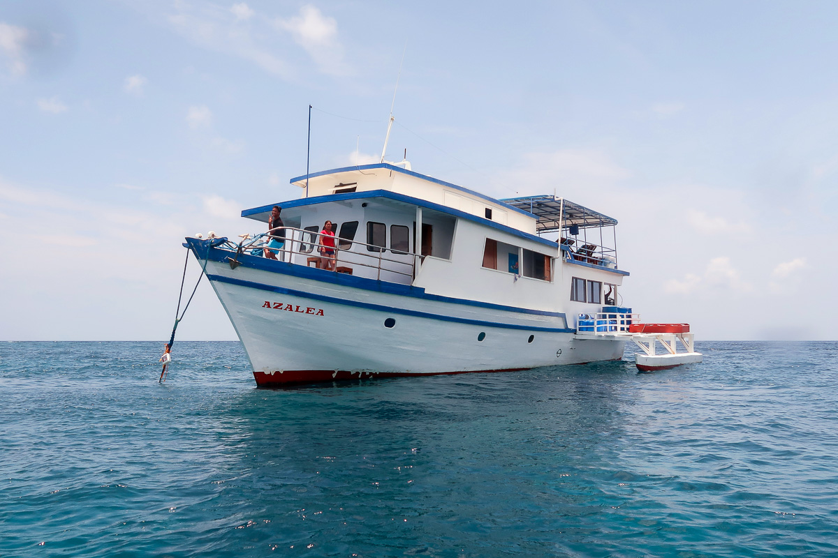 Azalea Liveaboard 5