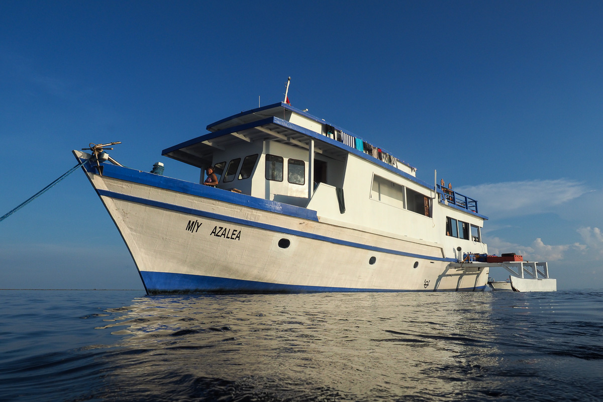 Azalea Liveaboard