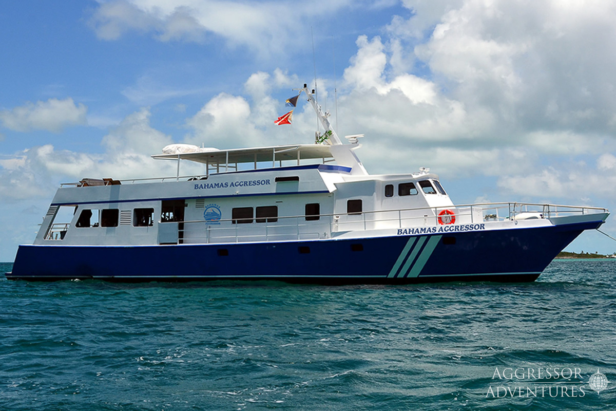 Bahamas Aggressor Liveaboard 4