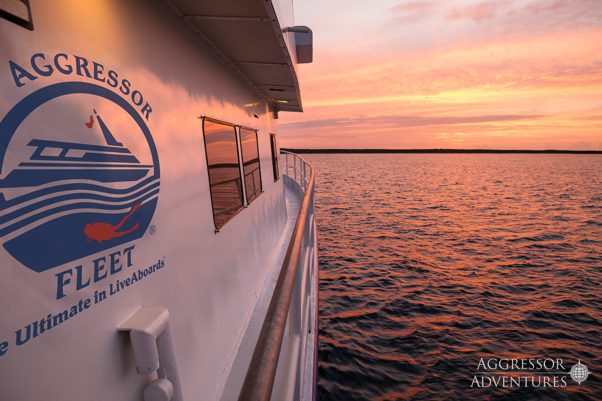 Bahamas Aggressor Liveaboard 7