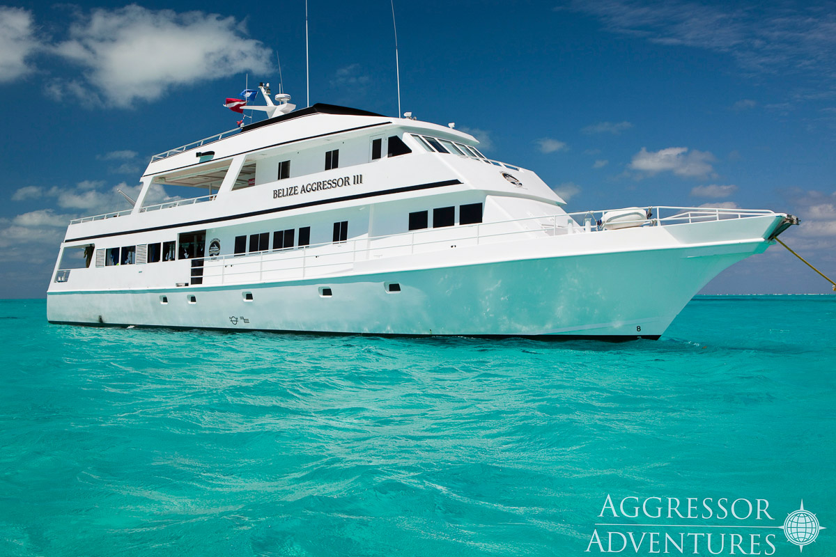 Belize Aggressor Iii Liveaboard