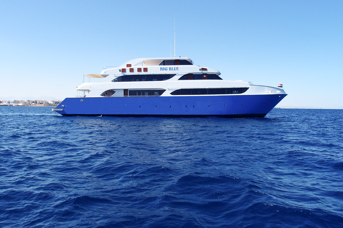 Big Blue Red Sea 10