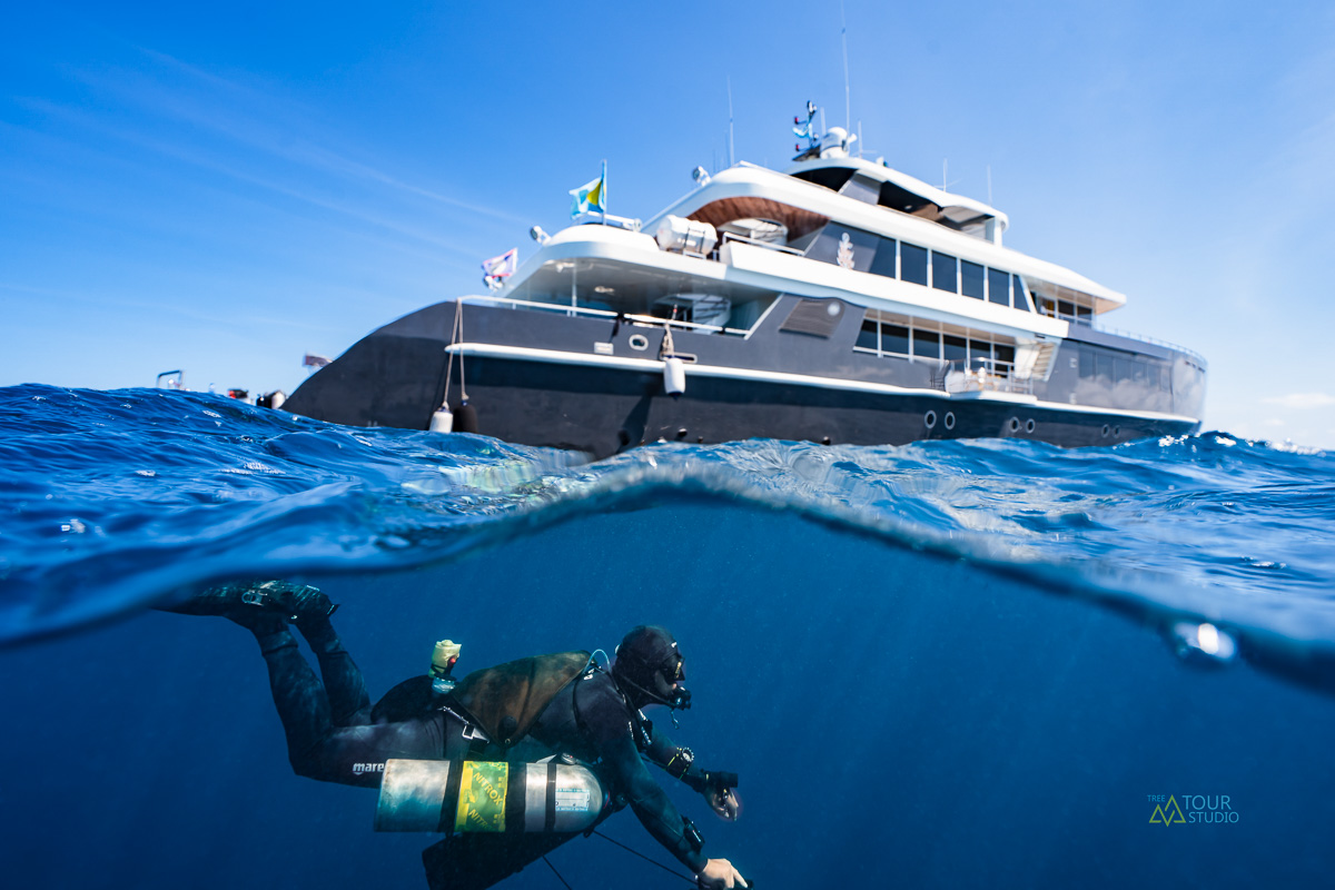 Black Pearl Liveaboard Palau 7