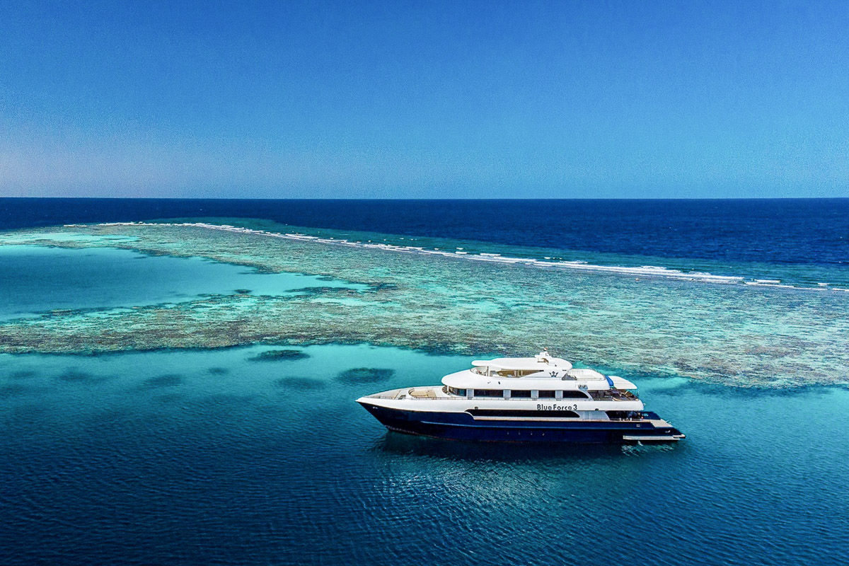 Blue Force 3 Red Sea