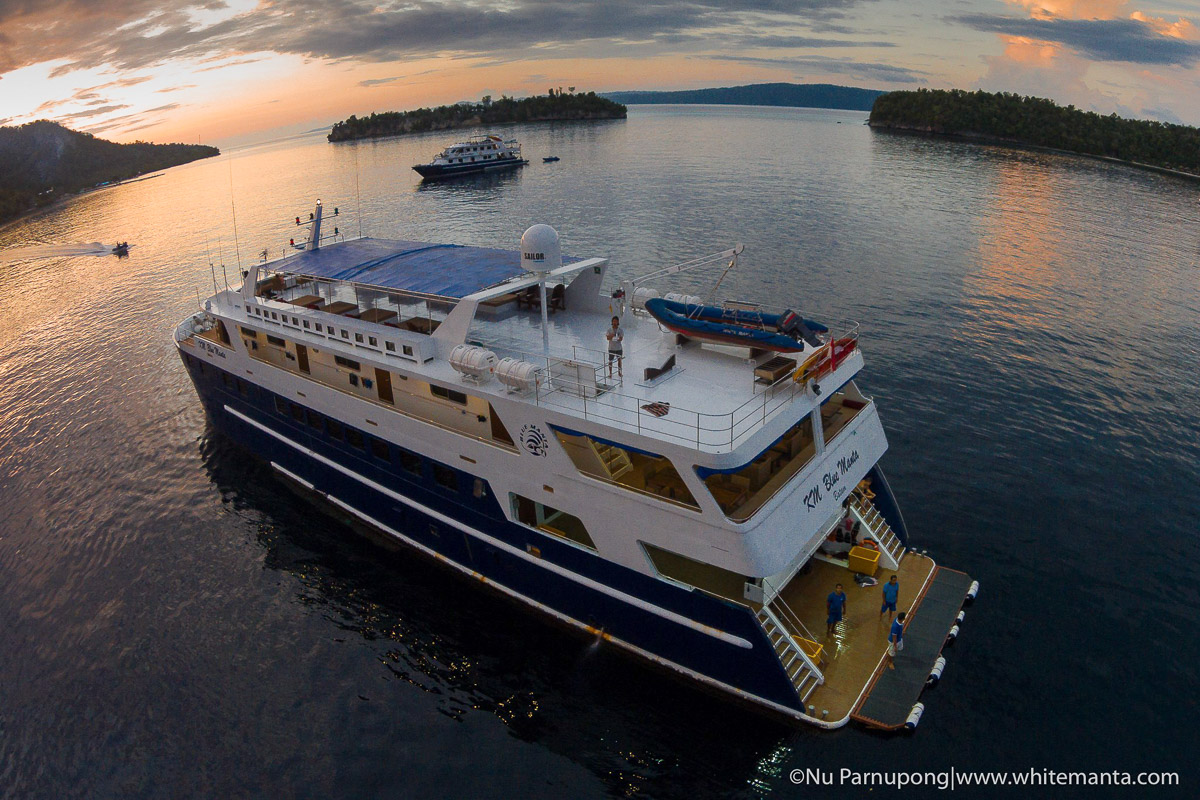 Blue Manta Liveaboard 5