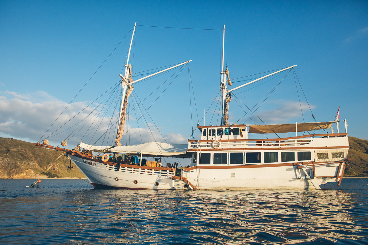 Cajoma V Manta Rhei Indonesia