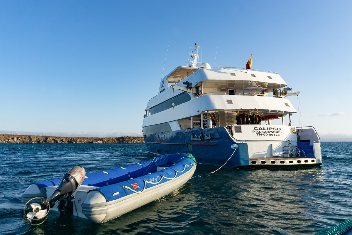 Calipso Galapagos Liveaboard