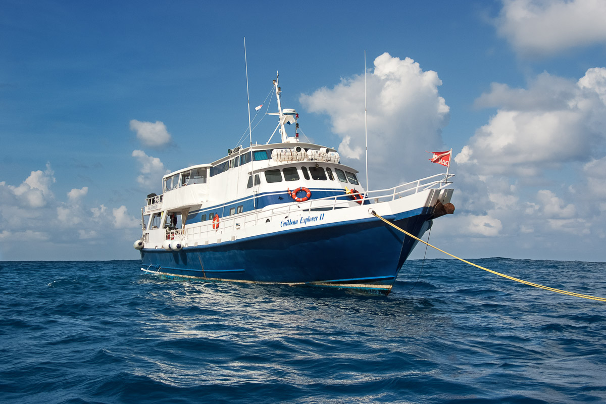 Caribbean Explorer Ii 7