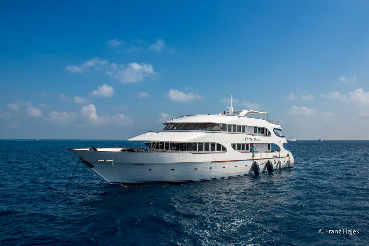 Carpe Diem Liveaboards Maldives 7