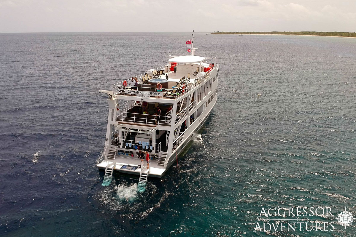 Cayman Aggressor V Liveaboard 15