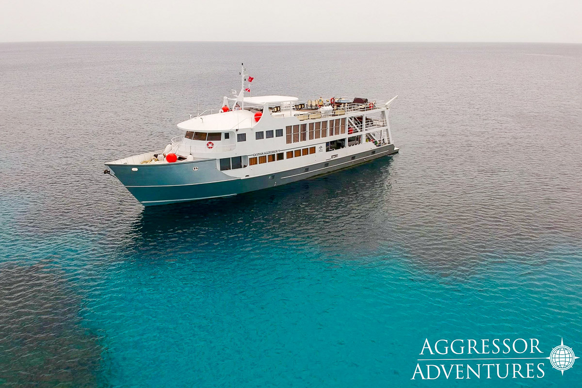 Cayman Aggressor V Liveaboard 16