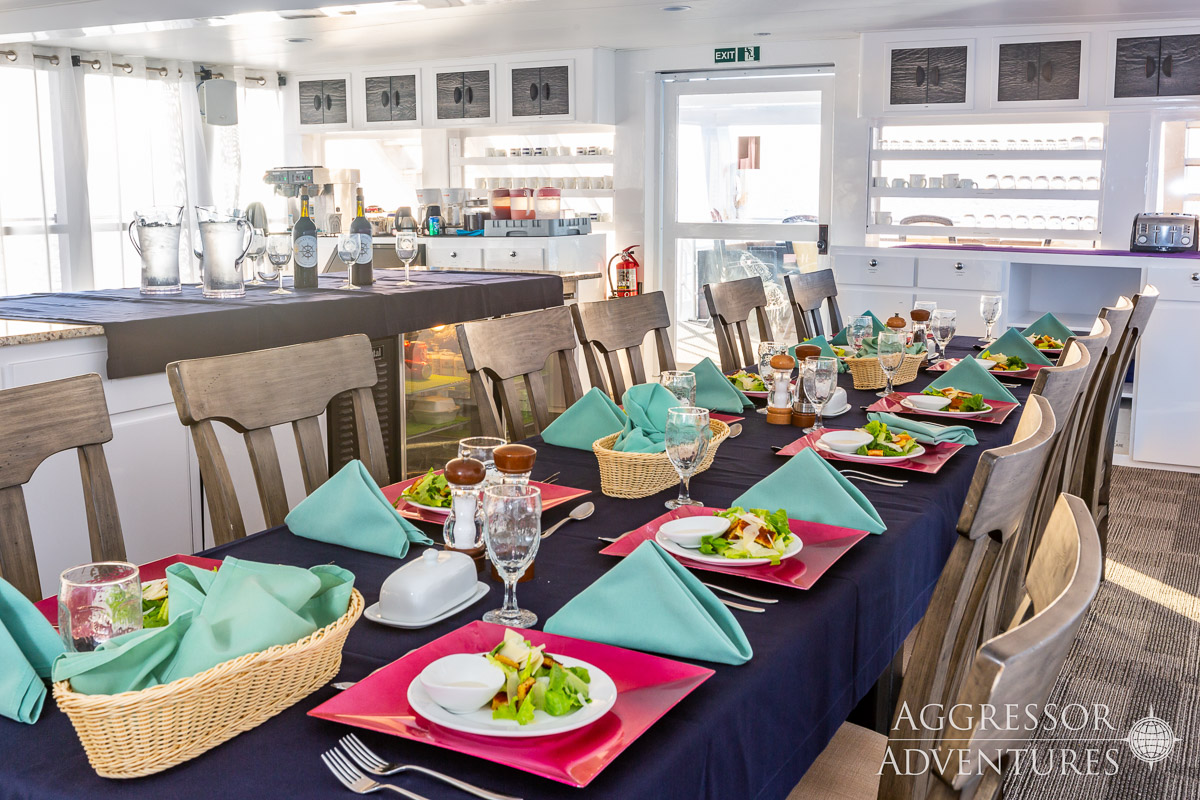 Cayman Aggressor V Liveaboard 3