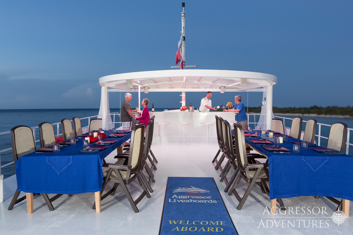 Cayman Aggressor V Liveaboard 4