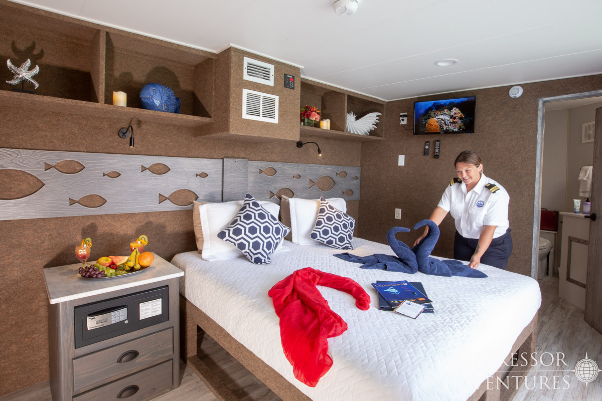 Cayman Aggressor V Liveaboard 6