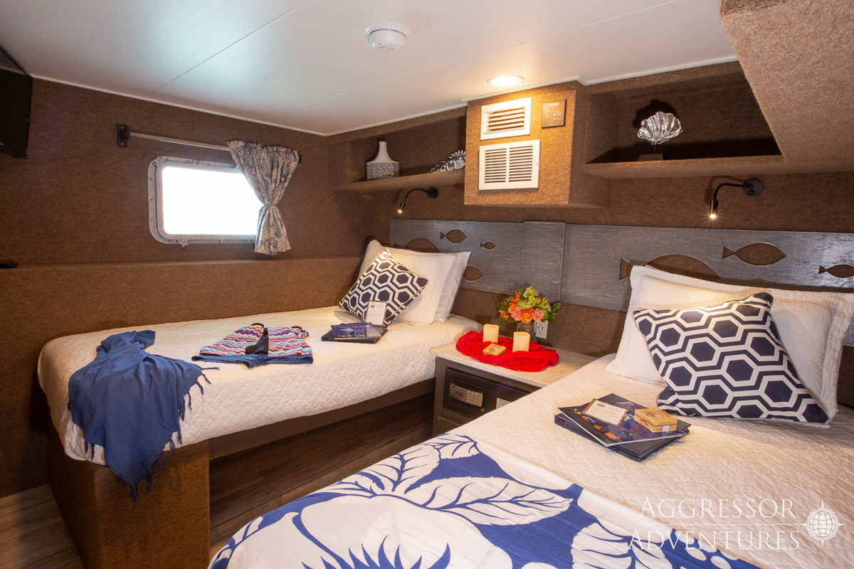 Cayman Aggressor V Liveaboard 9