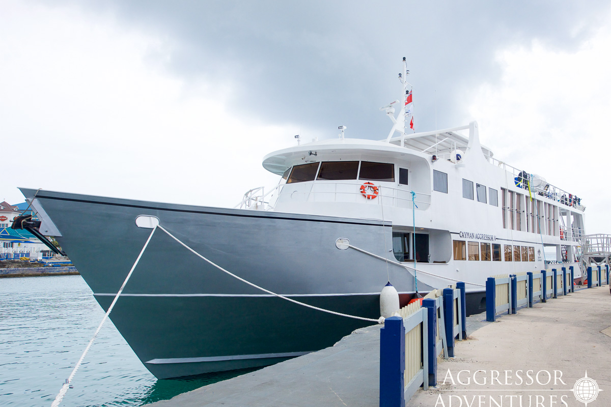 Cayman Aggressor V Liveaboard