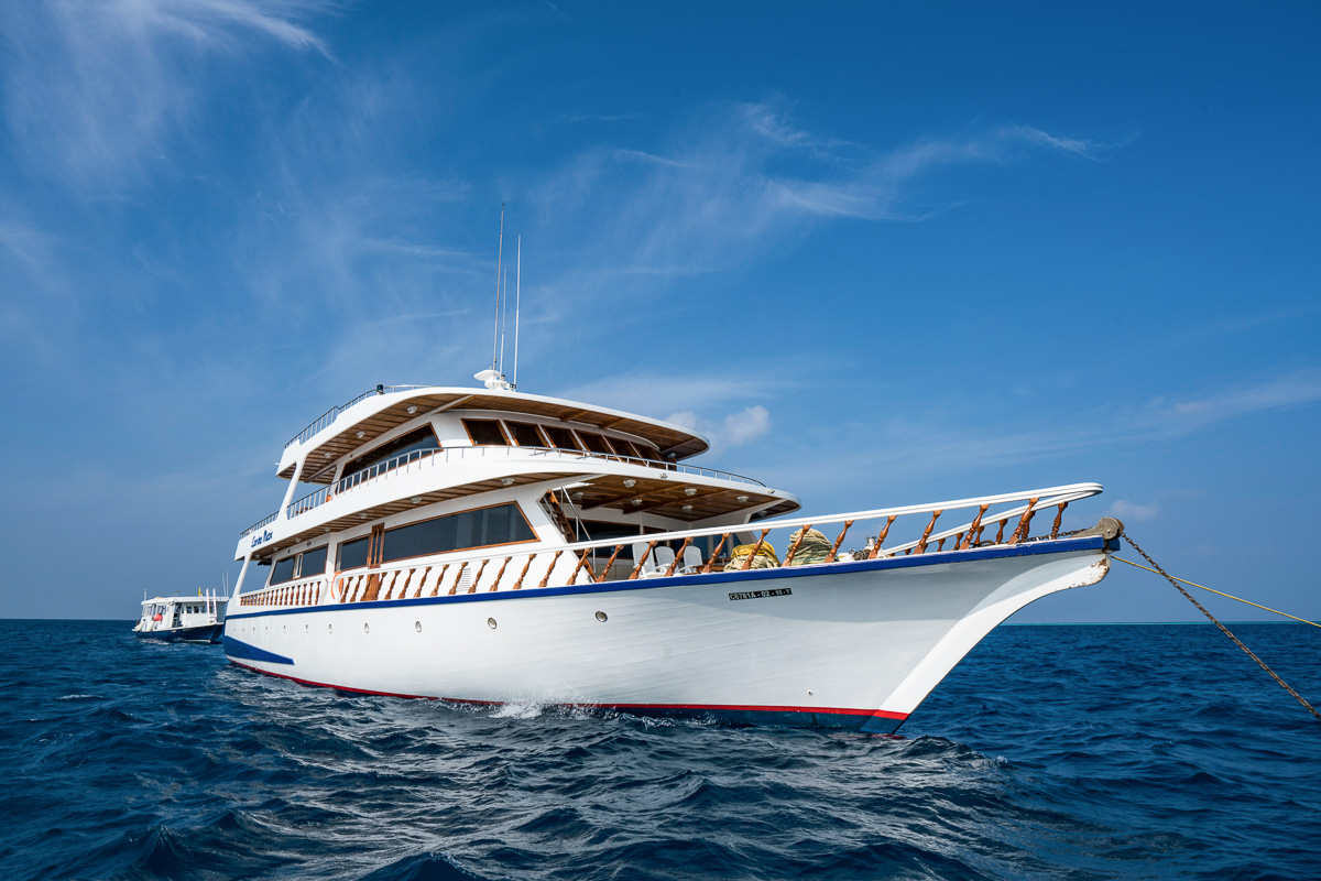 Conte Max Liveaboard Maldives 13