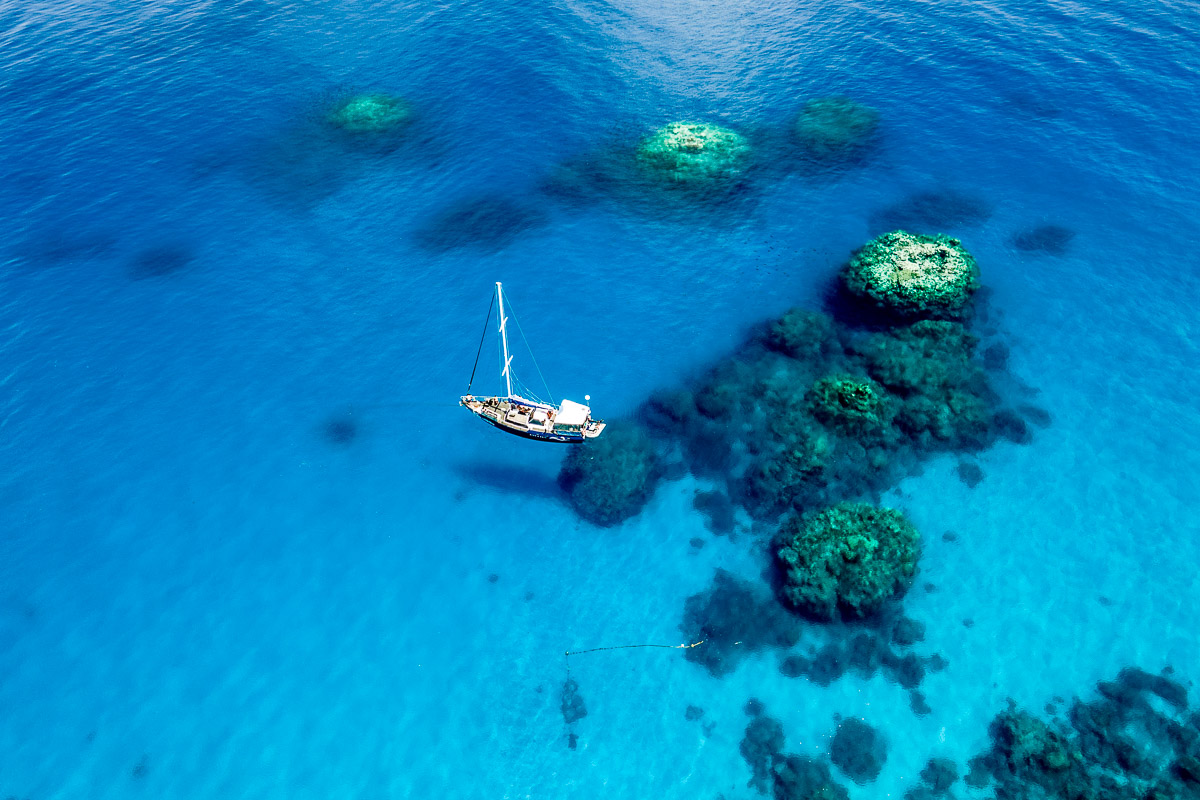 Coral Sea Dreaming Liveaboard 10