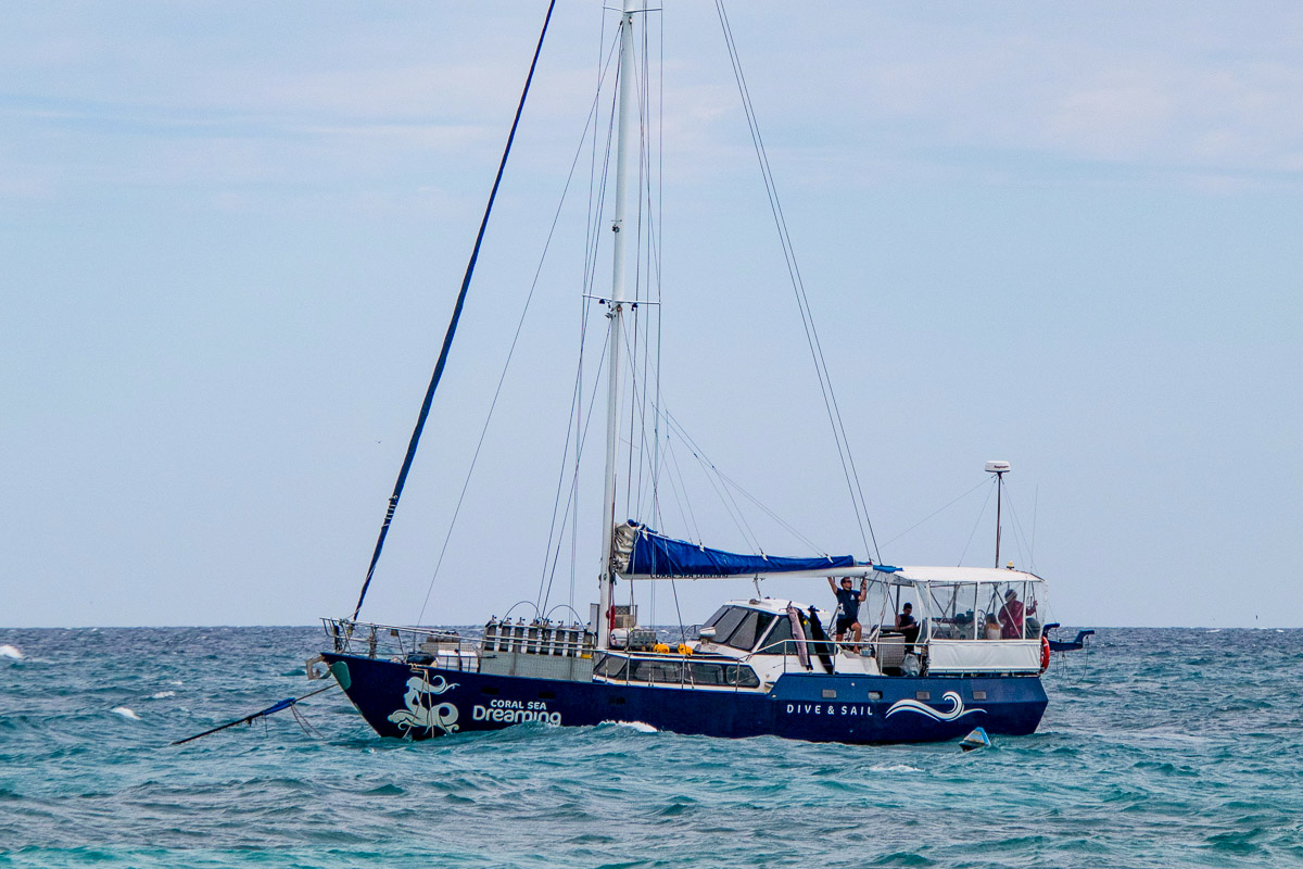 Coral Sea Dreaming Liveaboard 22