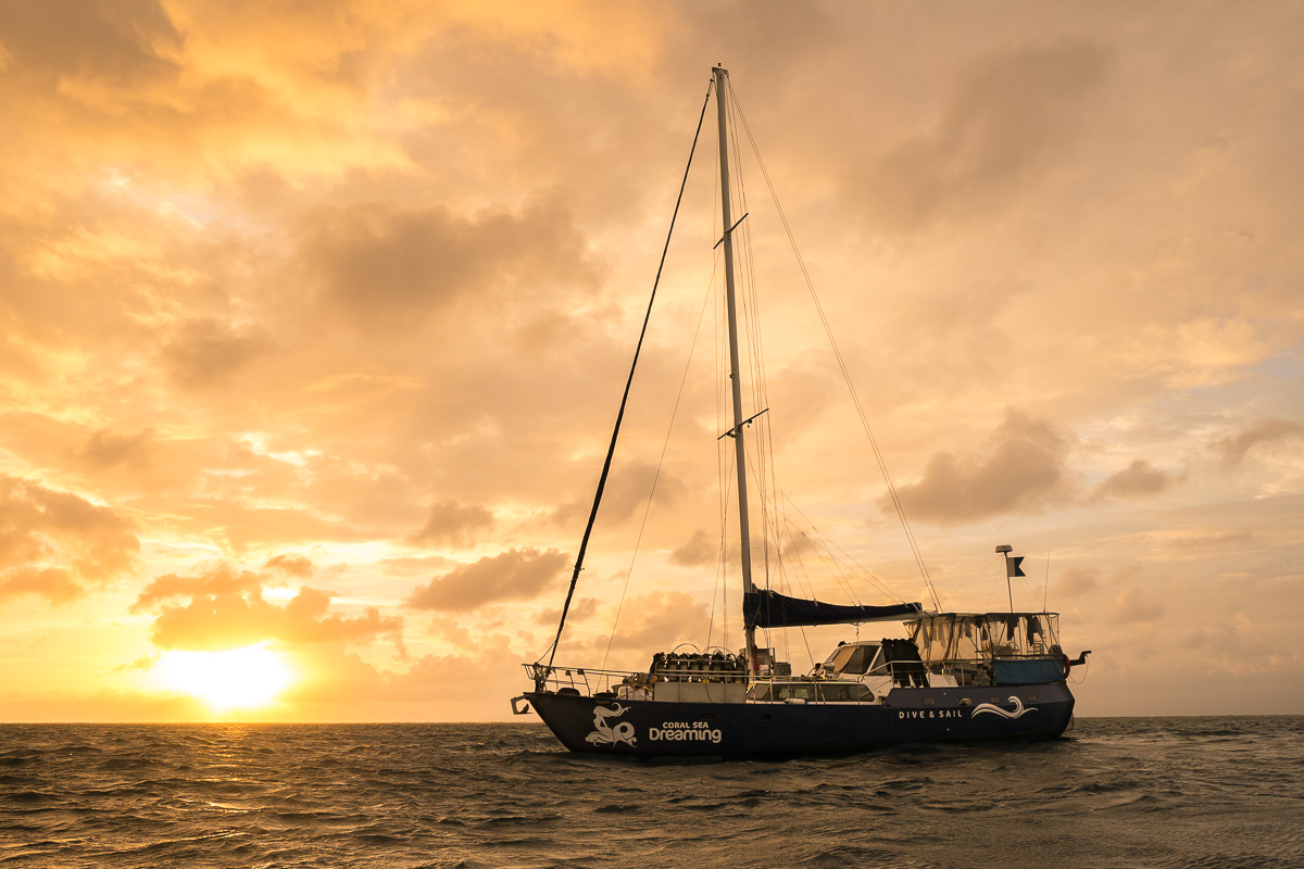 Coral Sea Dreaming Liveaboard