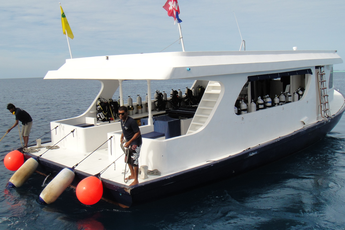 Duke Of York Liveaboard Maldives 18