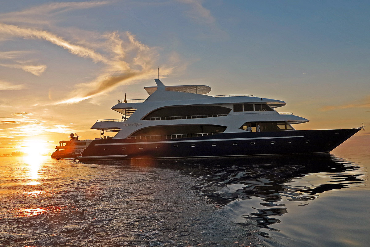 Duke Of York Liveaboard Maldives 7