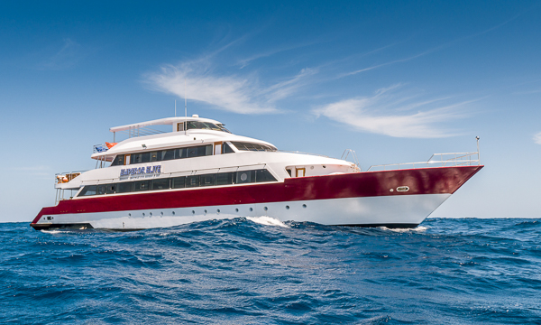 Emperor Elite Red Sea Liveaboard