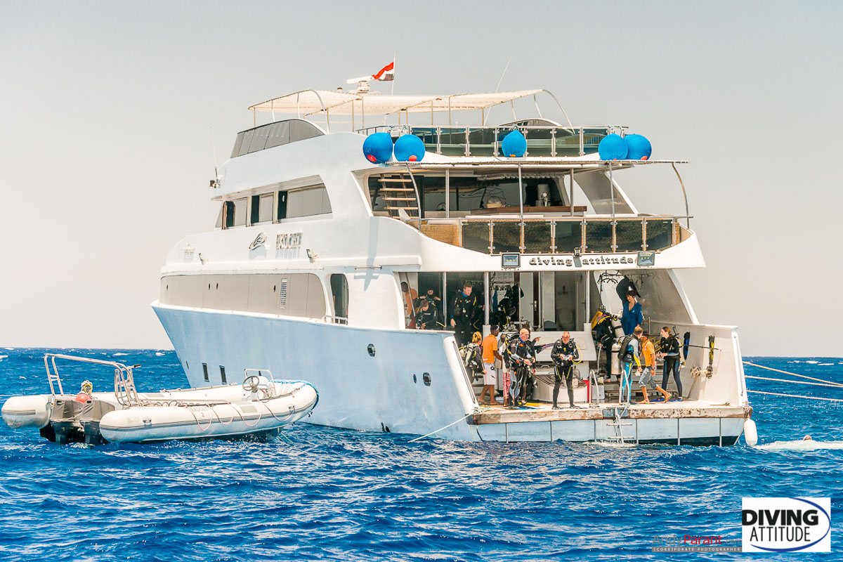 Exocet Diving Attitude Liveaboard 16