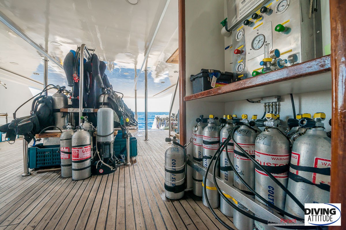 Exocet Diving Attitude Liveaboard 19