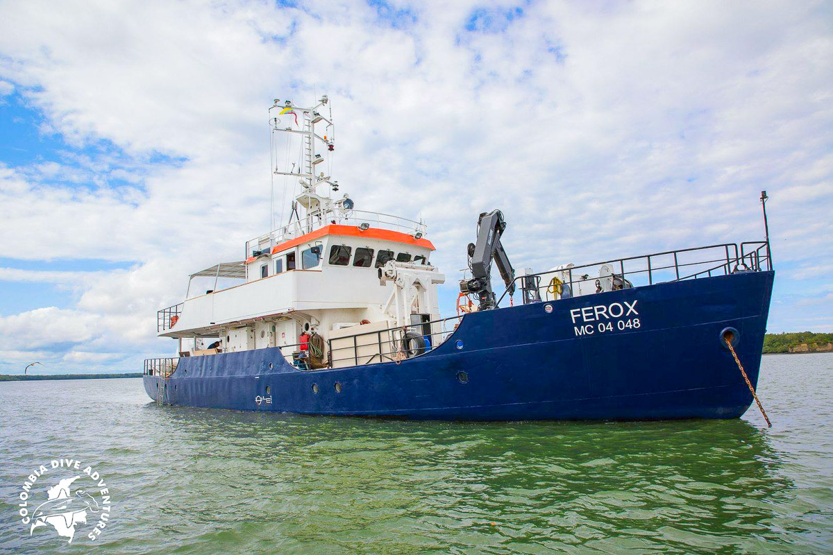 Ferox Malpelo Liveaboard 2