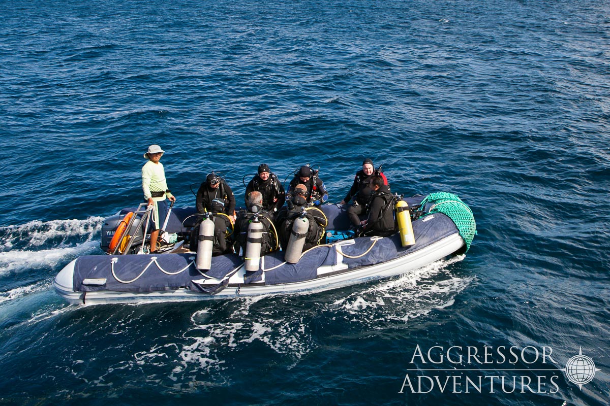 Galapagos Aggressor Iii Liveaboard 13