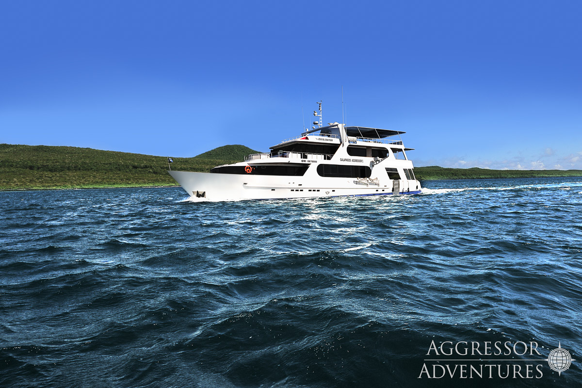 Galapagos Aggressor Iii Liveaboard 15