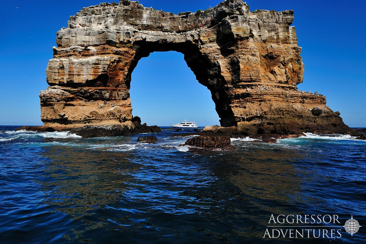 Galapagos Aggressor Iii Liveaboard 16