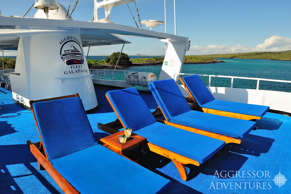 Galapagos Aggressor Iii Liveaboard 5