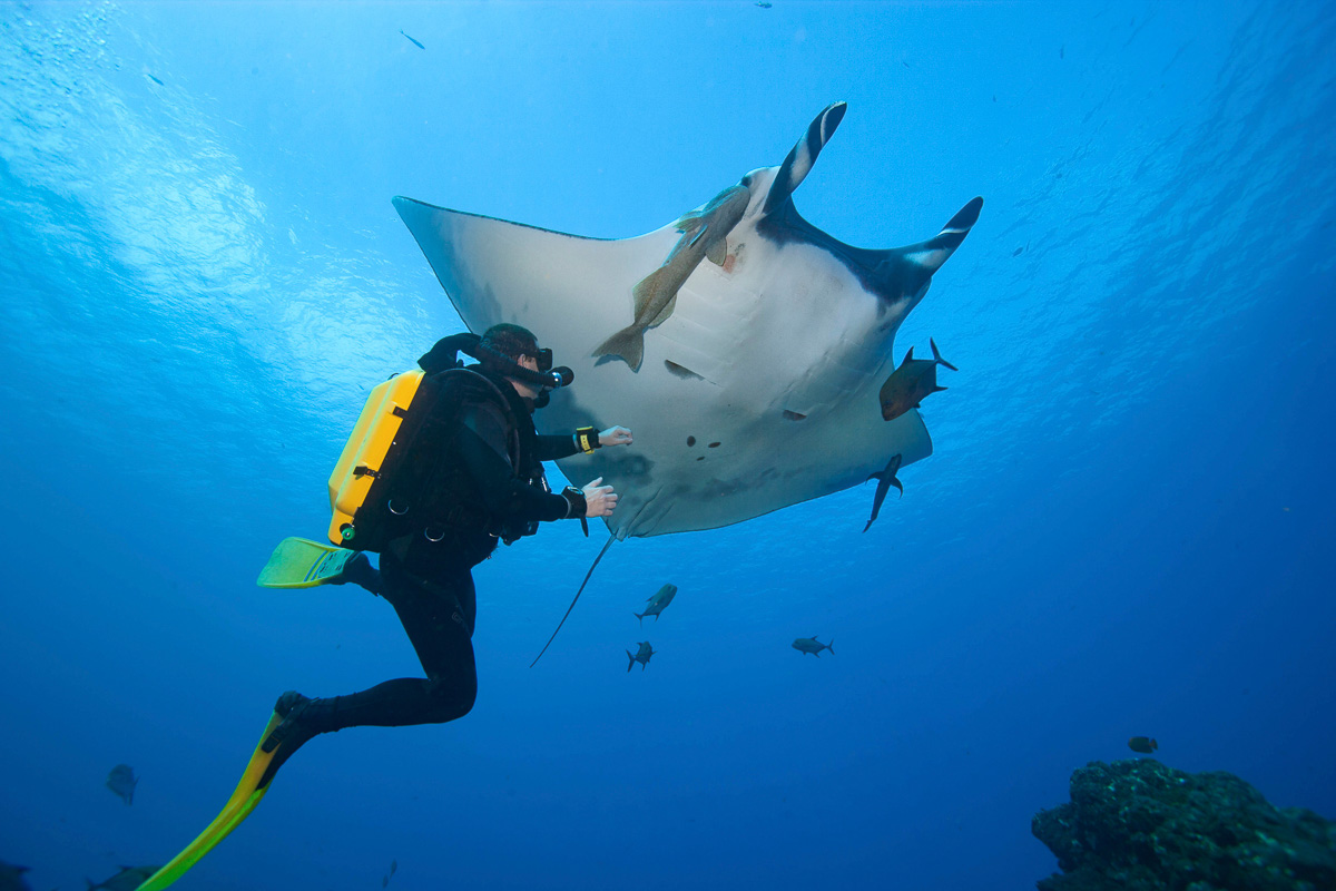 Galaxy Diver Liveaboard Galapagos Ecuador 17