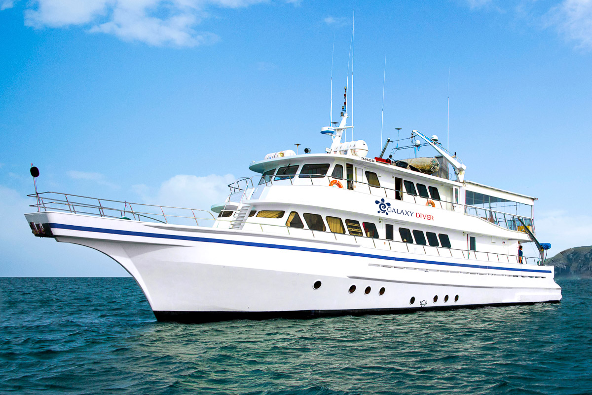 Galaxy Diver Liveaboard Galapagos Ecuador