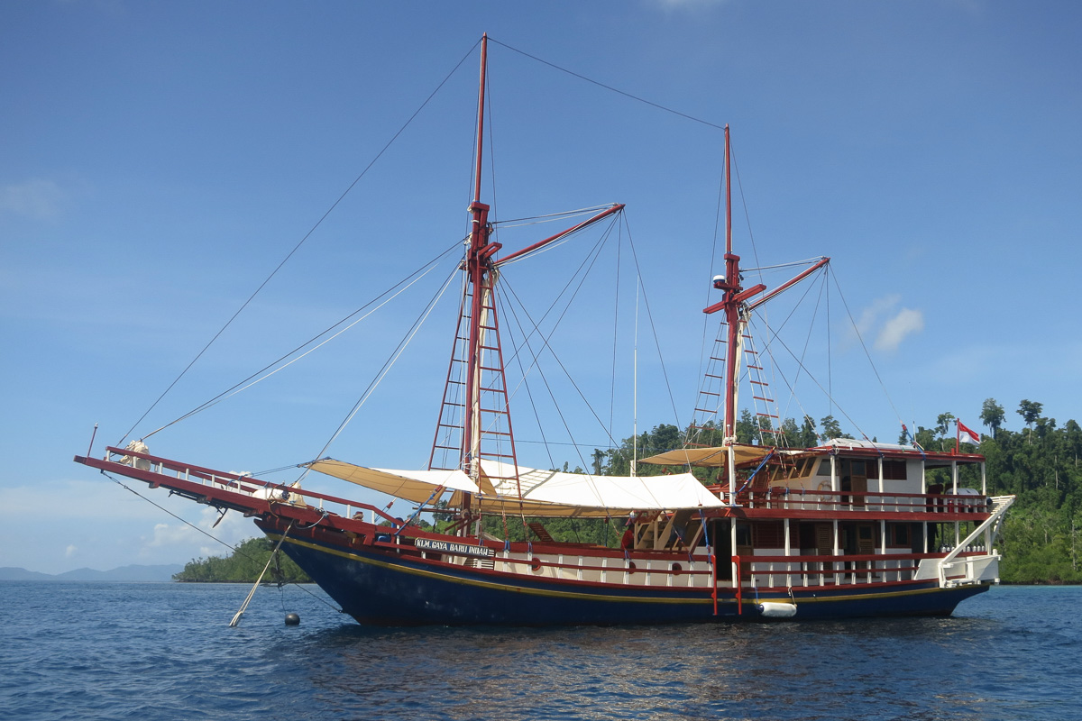 Gaya Baru Indah Liveaboard Indonesia 4