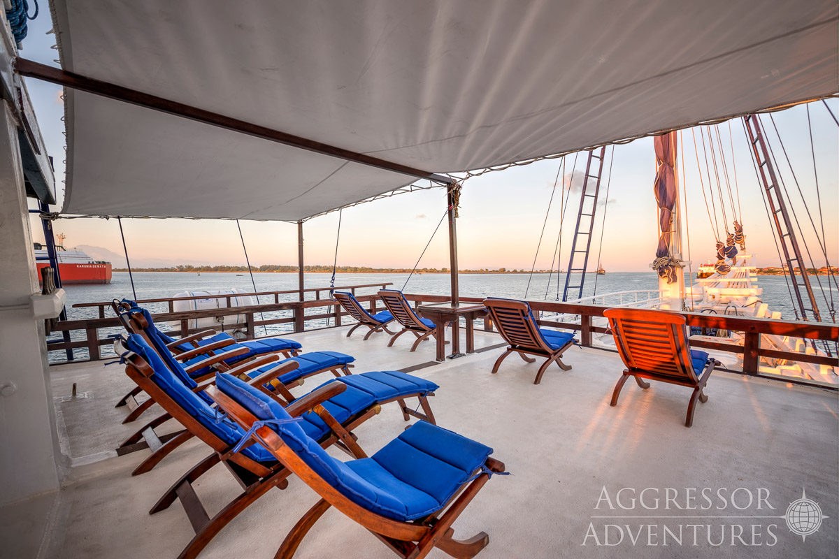 Indo Aggressor Liveaboard Indonesia 13