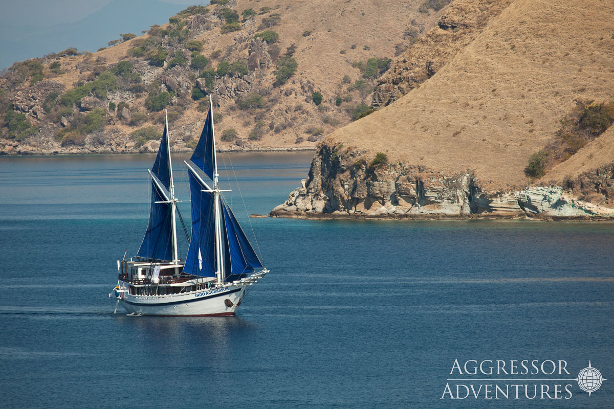 Indo Aggressor Liveaboard Indonesia 14