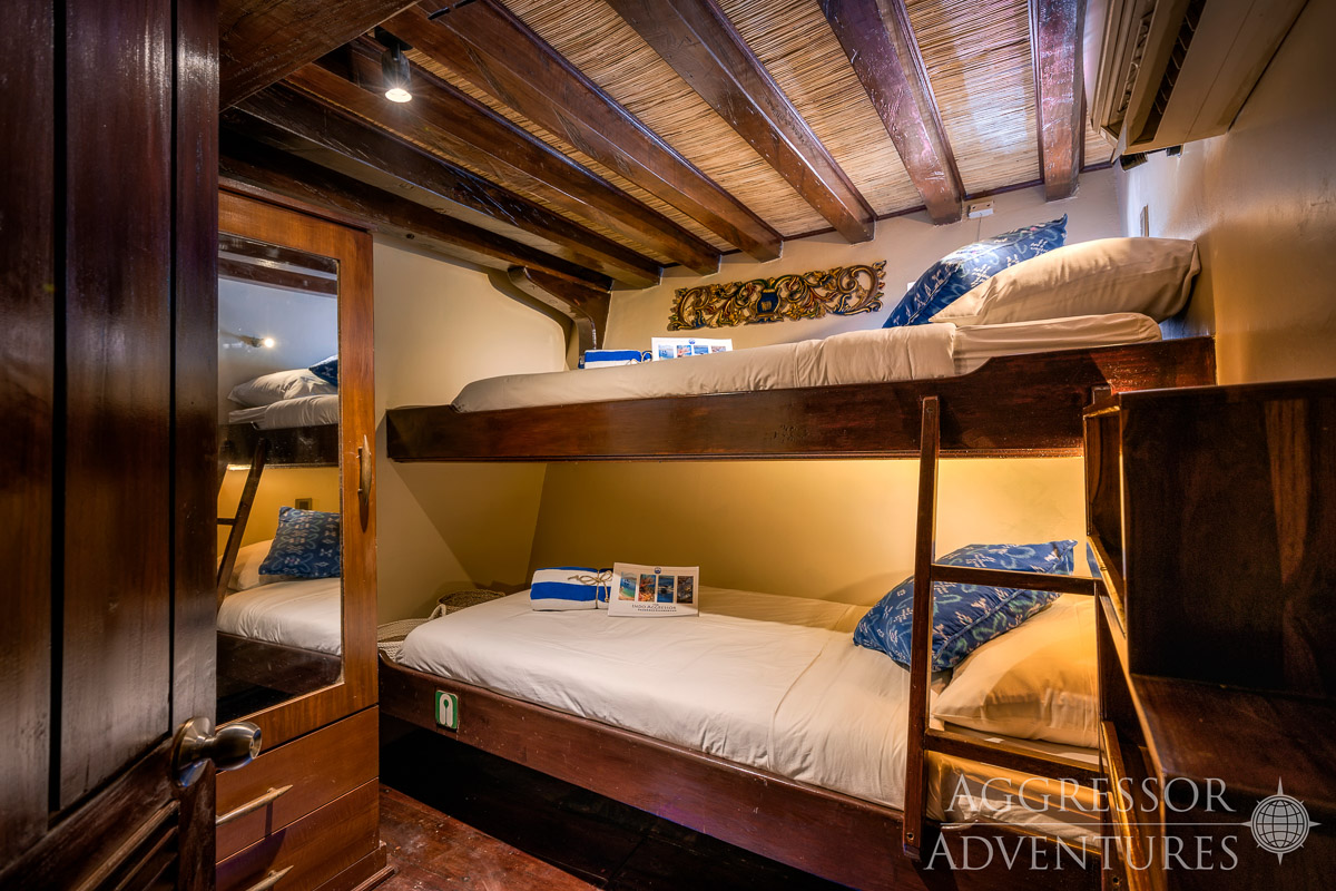 Indo Aggressor Liveaboard Indonesia 8
