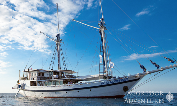 Indo Aggressor Liveaboard Indonesia Thumb