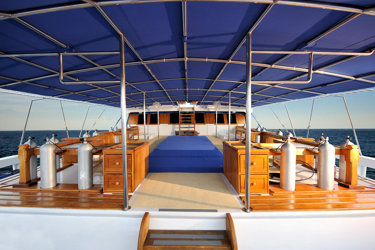 Indo Siren Liveaboard Indonesia 10