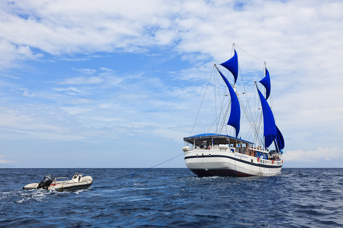 Indo Siren Liveaboard Indonesia 11