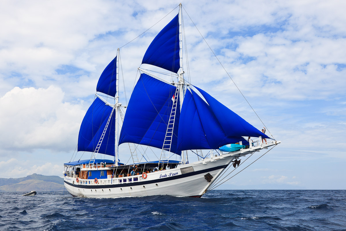 Indo Siren Liveaboard Indonesia 13