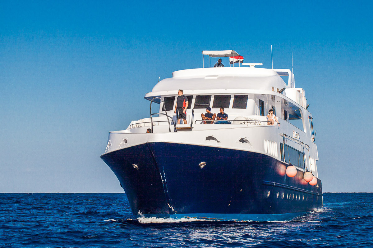 Jp Marine Red Sea 12