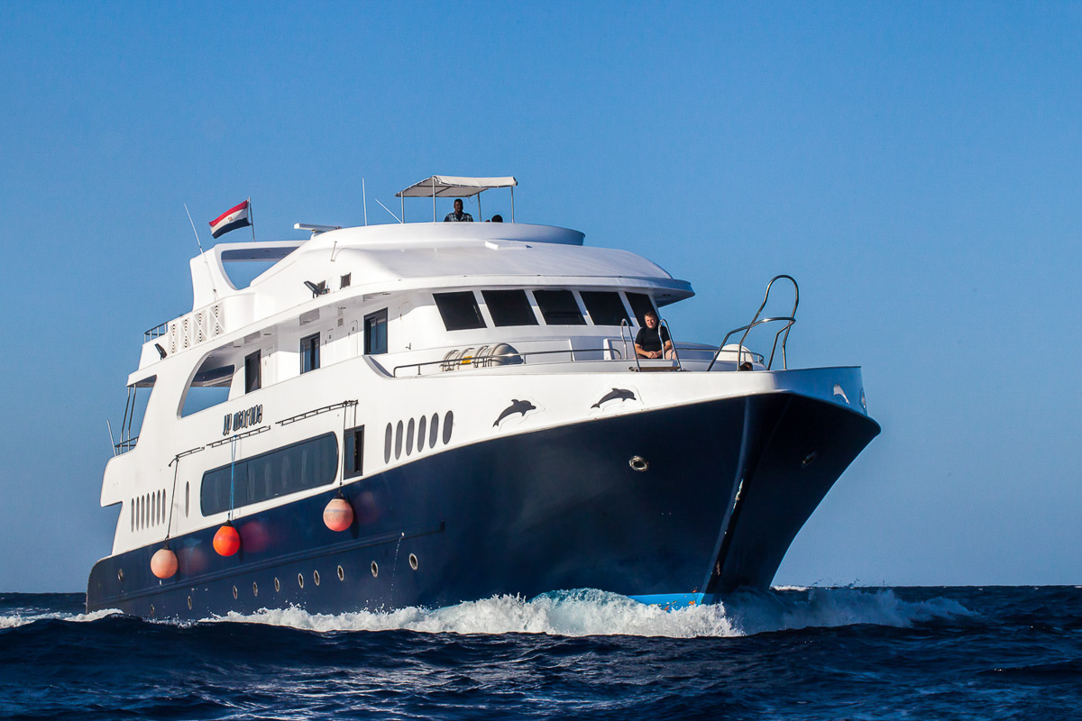 Jp Marine Red Sea 3