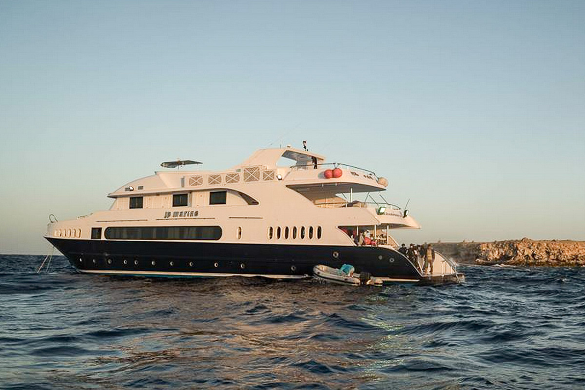 Jp Marine Red Sea 4