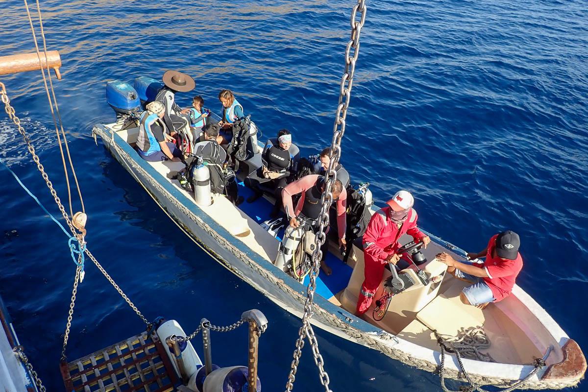 Lady Denok Liveaboard Indonesia 13