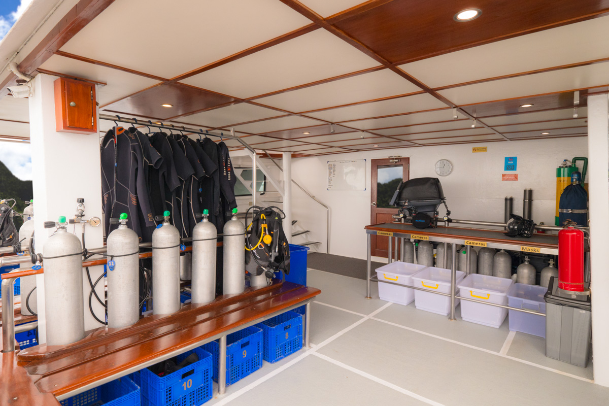 Mermaid Ii Liveaboard Indonesia 12